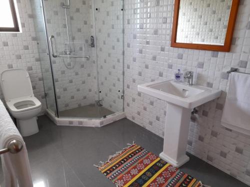 a bathroom with a toilet and a sink and a shower at Dawn Self-Catering in Anse aux Pins