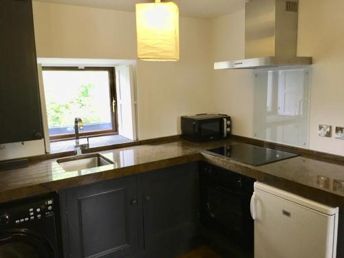a kitchen with a sink and a microwave at Fernery Garden cottage, near Skibbereen in Drishanebeg