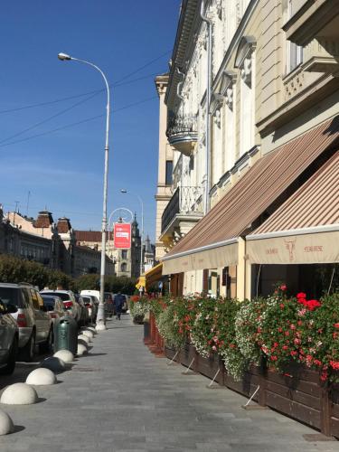 a sidewalk with plants and cars parked on a street at Center Lviv Avenue 23 in Lviv