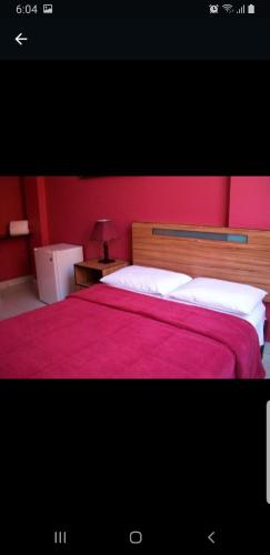 a bedroom with a bed with a red head board at Hostal Hellen Ross in Nazca