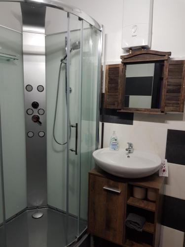 a bathroom with a sink and a glass shower at Duisburg Beeck in Duisburg