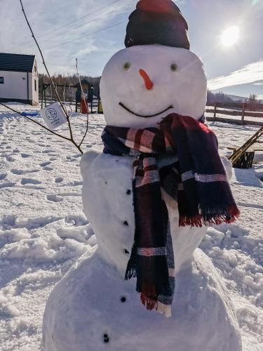 a snowman wearing a hat and a scarf at Sarnia Łąka Domek 1 z Prywatnym Jacuzzi in Stronie Śląskie