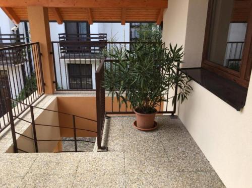 a balcony with a potted plant in a building at Penzion Lea v Patinciach in Patince