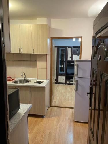 La cuisine est équipée d'un évier et d'un réfrigérateur. dans l'établissement Urban Chic Apartment, à Orăştie