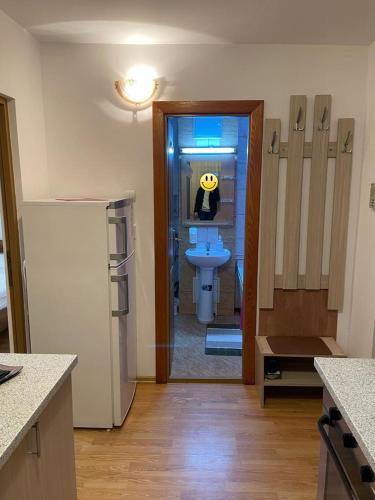 cocina con baño con lavabo y aseo en Urban Chic Apartment en Orăştie