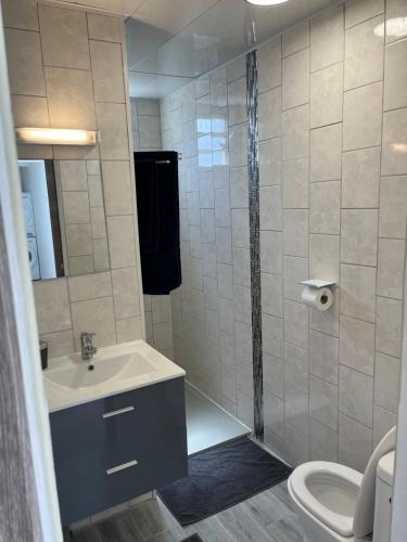 La salle de bains est pourvue d'une douche, d'un lavabo et de toilettes. dans l'établissement Paille en queue, à Saint-Denis
