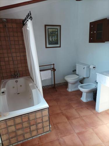 San Antonio de RequenaにあるLA PENSION DE DOÑA ANITAのバスルーム(トイレ2つ、バスタブ付)