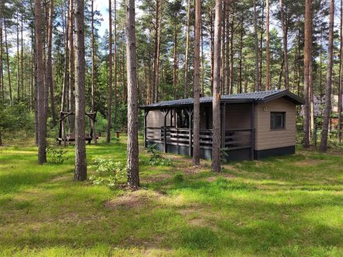 a cabin in the middle of a forest with trees at domki przy lipowej 14 in Łuka