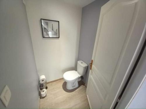 a bathroom with a white toilet and a picture on the wall at Gite Les sauvagines in Pendé
