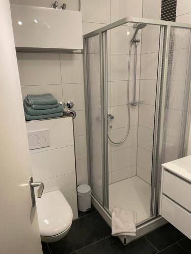 a bathroom with a shower and a toilet at Wilhelms Havenkoje - gemütliches Innenstadtappartment in Wilhelmshaven