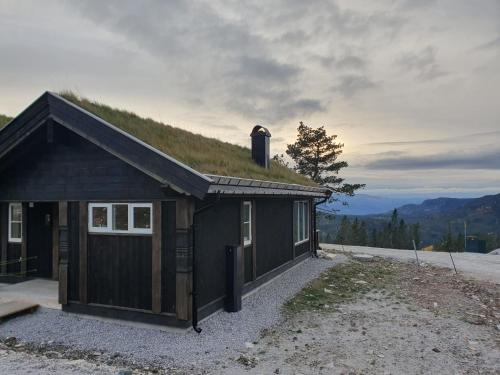 a building with a grass roof with a building with a garage at Grostul in Lifjell