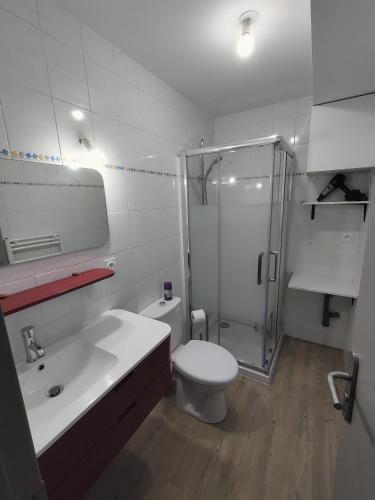 a bathroom with a shower and a toilet and a sink at Appartement T2 "JUNGLE" Centre Ville de VITRÉ au calme coté cour in Vitré