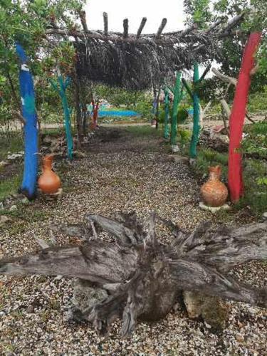 a group of trees and vases in a garden at Galerazambahostal in Galerazamba
