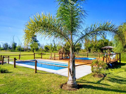 a palm tree next to a swimming pool at Cabañas Manantiales de Obligado in San Pedro