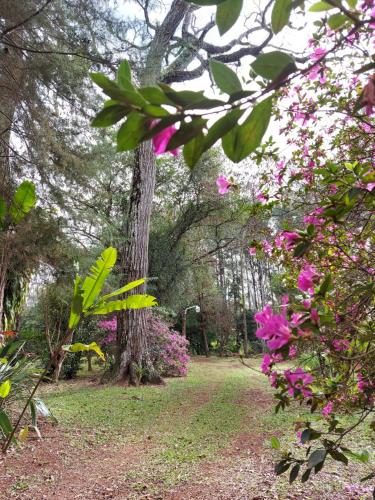 un jardín con árboles y flores rosas en el césped en Oasis Bed and Breakfast en Puerto Iguazú