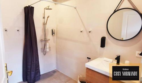 ein Bad mit einem Waschbecken und einem Spiegel in der Unterkunft Cosy Normandy - 02 in Bois-Jérôme-Saint-Ouen