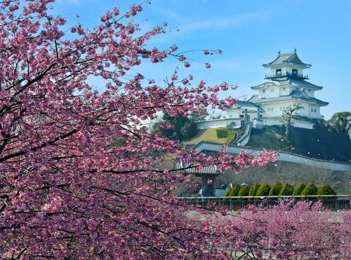 a castle with pinkakura trees in front of it at Royal Inn Kakegawa (Station Hotel 2) in Kakegawa