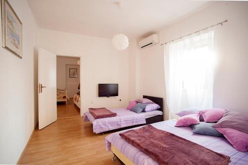 Dalmatian Garden - FREE parking - city centre