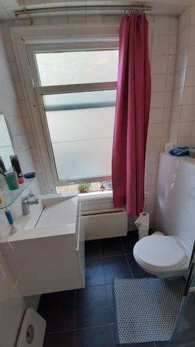 a bathroom with a pink shower curtain and a toilet at MICHELLE, not for parties, not a hotel, room with shared bathroom, no kitchen in Amsterdam