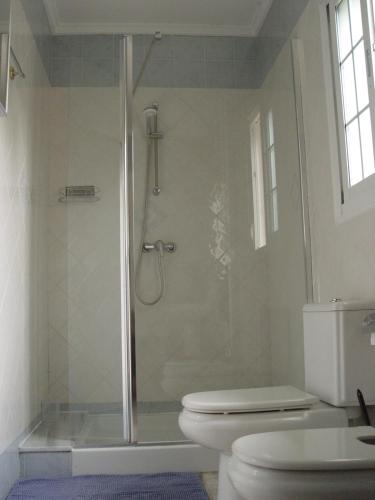 a bathroom with a shower with a toilet at casa ronda in Rojales