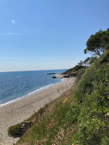 Maison pieds dans l eau avec piscine et clim