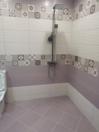 a bathroom with a shower and a toilet at Brand new apartment with free parking near city center in Sofia