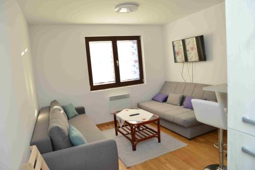 a living room with a couch and a table at Vila Irina Kopaonik in Kopaonik