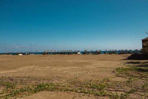 شمس علم بيتش ريزورت في أبو غصن: شاطئ فارغ مع المحيط في الخلفية
