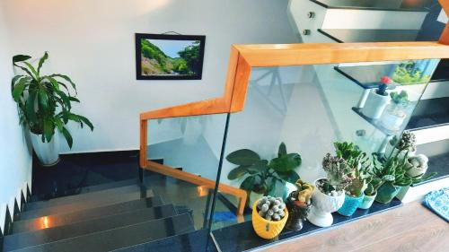 a glass staircase with potted plants in a room at Sena home 4th-Rooftop Overlooking Danang Dragon bridge in Da Nang