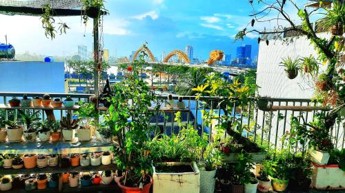 a group of potted plants on a balcony with a view at Sena home 4th-Rooftop Overlooking Danang Dragon bridge in Da Nang
