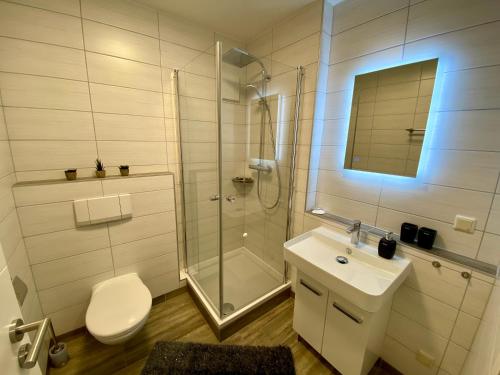 uma casa de banho com um chuveiro, um WC e um lavatório. em Ferienwohnung Rodachaue em Bad Rodach