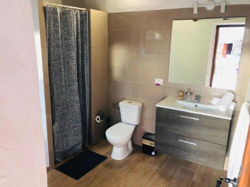 bagno con servizi igienici, lavandino e specchio di Vivienda Vacacional Tinganar 1501 a Frontera