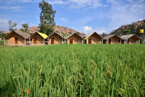 Gallery image of Dream Mango Hampi in Hampi