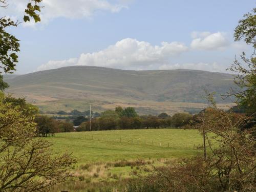 a green field with a mountain in the background at Row End farm in Warcop