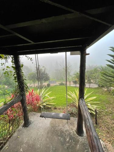 Taman di luar Tip House