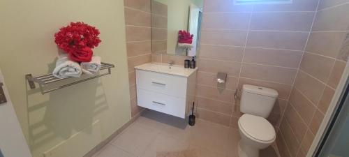 a bathroom with a toilet and a sink and a mirror at VILLA LINEDDY/HAPALINE in Rivière-Salée
