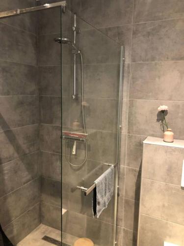 a shower with a glass door in a bathroom at Vakantieverhuur Bienvenue in Boyl