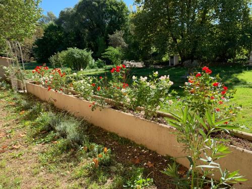 a row of flowers in a garden at Clos Augusta in Riez