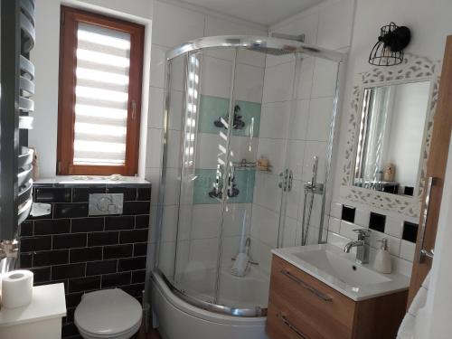 ein Bad mit einer Dusche, einem WC und einem Waschbecken in der Unterkunft Domek Rospuda in Rospuda