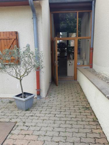 a plant in a pot in front of a door at En Beauvoir in Cormot-le-Grand