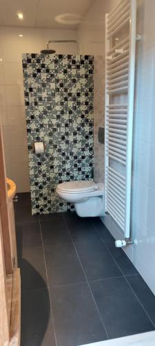 a bathroom with a shower and a toilet and a sink at East Meets West Bed and Breakfast in Veenendaal