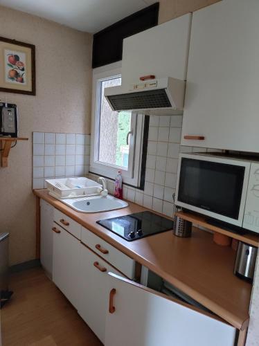 une petite cuisine avec un évier et un micro-ondes dans l'établissement Appartement proche village et remontées mécaniques, à Saint-Gervais-les-Bains
