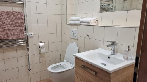 a white bathroom with a toilet and a sink at Pension Vinařství Klučov in Klučov