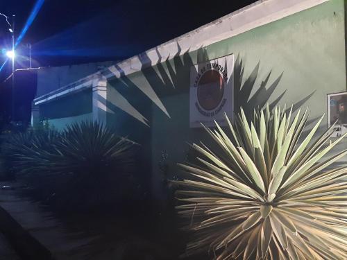 a plant on the side of a building at night at Casa para temporada - Chapada das Mesas in Carolina