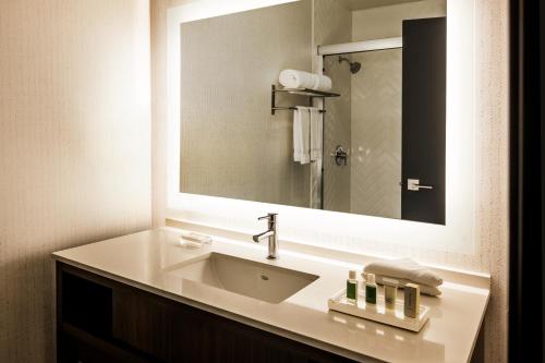 a bathroom with a sink and a large mirror at Holiday Inn Santa Ana-Orange County Airport, an IHG Hotel in Santa Ana