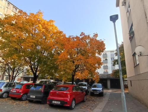 a row of cars parked in a parking lot next to trees at Apartment Close2park *** in Čakovec
