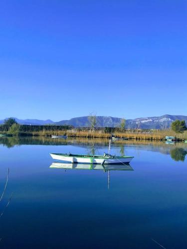 a boat sitting in the middle of a lake at Apartamentos Florazar II in Cullera