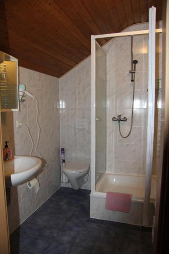 La salle de bains est pourvue d'une douche, d'un lavabo et de toilettes. dans l'établissement Gemütliche City Wohnung - Im Herzen von Trier, à Trèves