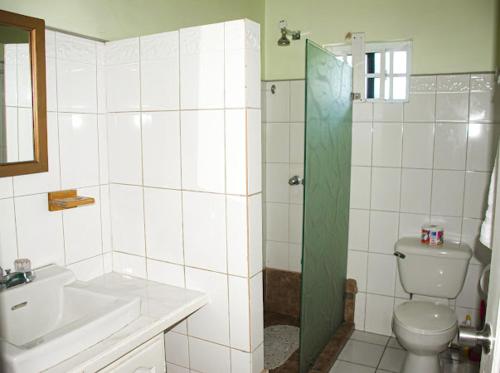 a bathroom with a toilet and a sink and a shower at Silver View Apartments in Saint Georgeʼs
