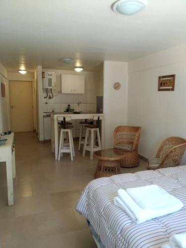 Il comprend un salon avec un lit et une cuisine. dans l'établissement Departamento Albarracin, à San Carlos de Bariloche